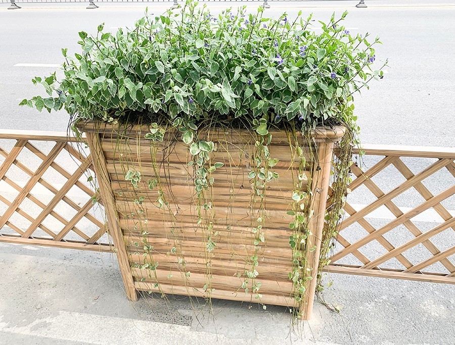 花箱