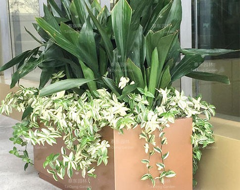 花箱 花箱